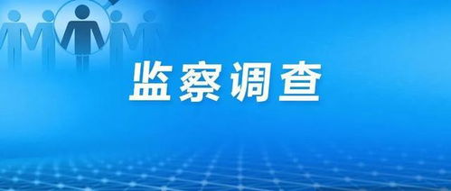 上海联合产权交易服务一公职人员接受监察调查，企业管理服务领域监管持续深化