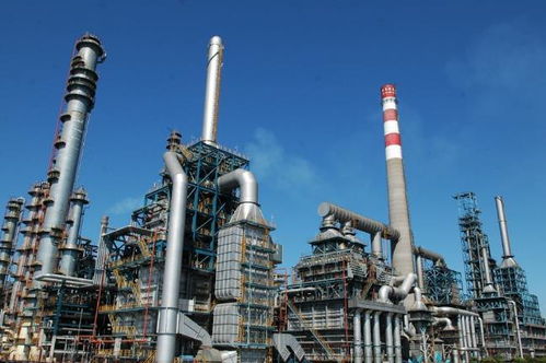 最严国六实施引发争议 网友称“国十也没用”，企业管理服务能否破局？